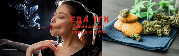 твердый Заводоуковск