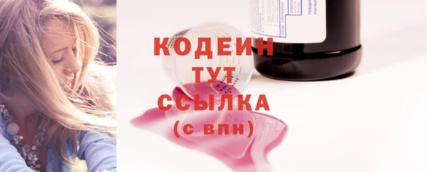 твердый Заводоуковск
