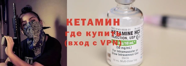 твердый Заводоуковск