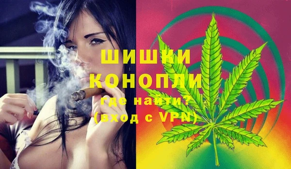твердый Заводоуковск