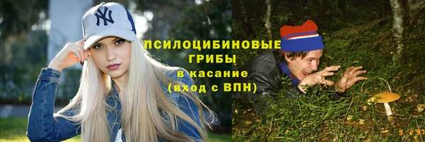 твердый Заводоуковск