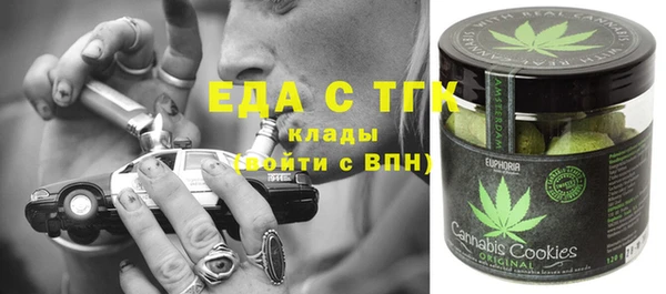 твердый Заводоуковск