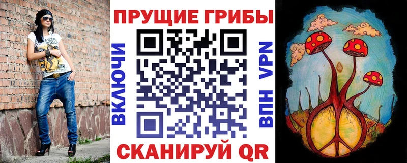 Псилоцибиновые грибы ЛСД  Купить закладки  Дмитровск 
